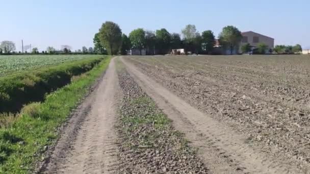 意大利农村在春天种植庄稼 — 图库视频影像