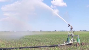 Mısır sulama sahnesi 2