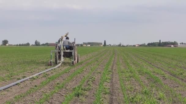 Cena de irrigação de milho 3 — Vídeo de Stock