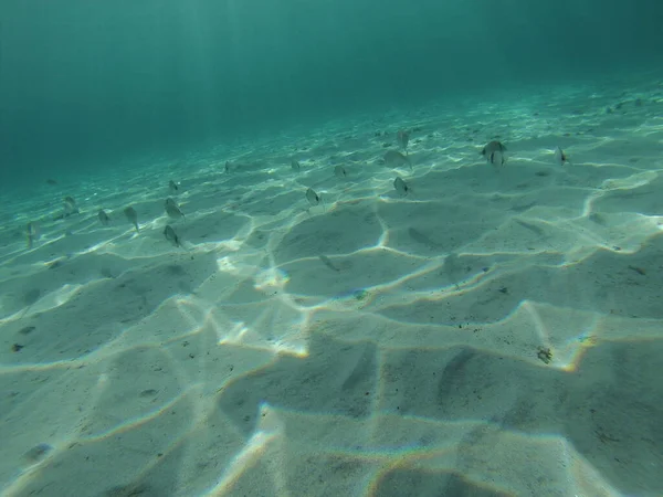 Güney Sardunya Daki Saydam Deniz Manzarası — Stok fotoğraf