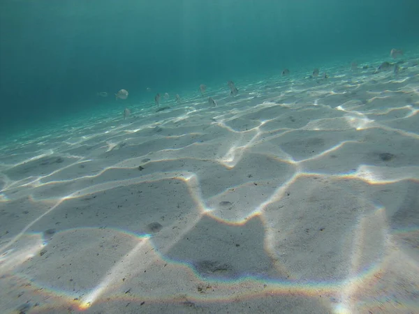 Güney Sardunya Daki Saydam Deniz Manzarası — Stok fotoğraf