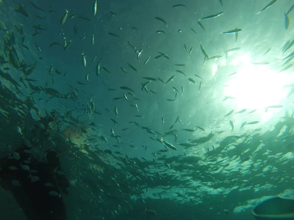 Güney Sardunya Daki Saydam Deniz Manzarası — Stok fotoğraf