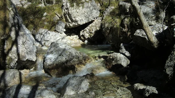 Wasserlauf Den Dolomiten Mit Wasser Und Felsen — Stockfoto