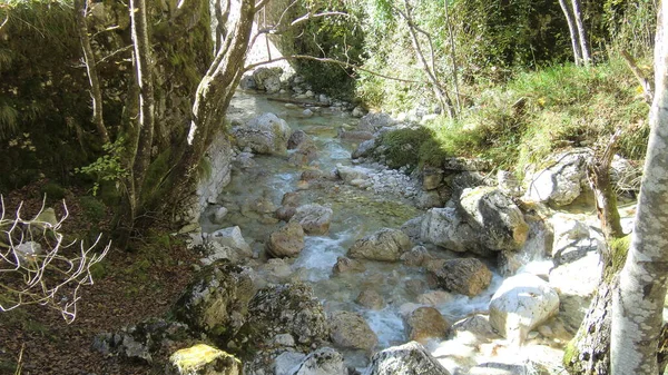 Corso Acqua Nelle Dolomiti Con Acqua Rocce — Foto Stock