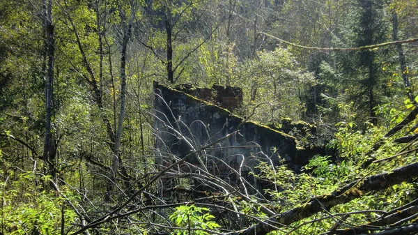 Ruine Abandonnée Sur Les Dolomites Vieil Immeuble Abandonné Extérieur — Photo