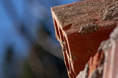 Harabe dolomitlerde terk edilmiş. Dışarıdan terk edilmiş eski bir bina.
