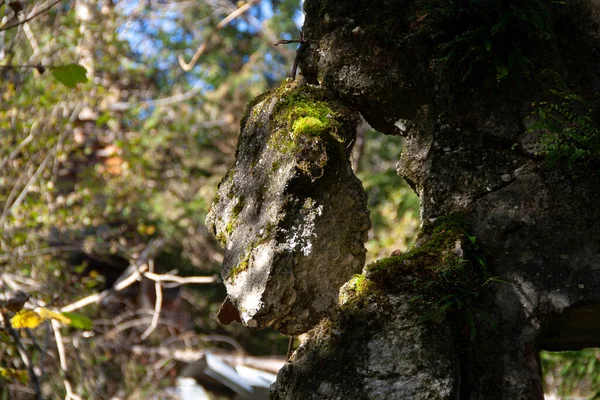 Ruine Verlassen Den Dolomiten Ein Verlassenes Gebäude Von Außen — Stockfoto