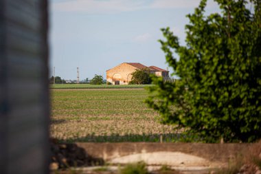 İlkbaharda gün batımında İtalya 'da tarım alanı