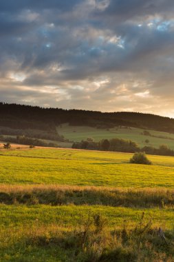 Gün batımı çayır manzara
