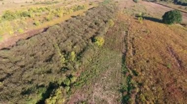 4 k Polonya'da Europe kırsal hava dron vurdu