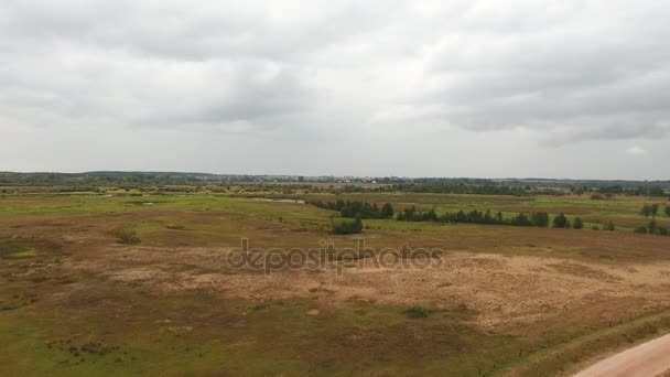 Drone Latający w dół, lądowania na Zielona trawa krajobraz — Wideo stockowe
