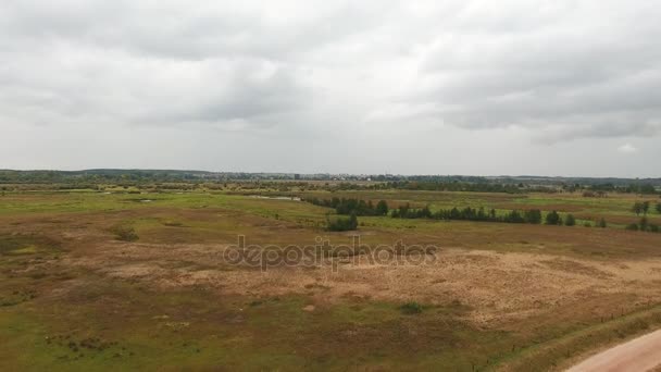 Drone flying down, landing on green grass landscape — Stock Video