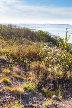 Norveç sahil sahil manzara yaz