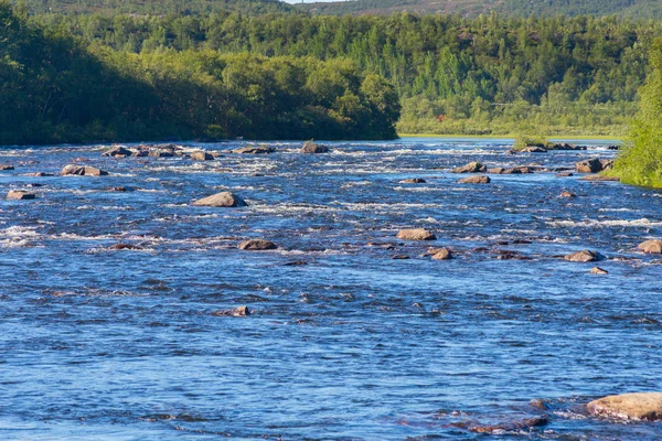 Vad folyó északi erdős táj — Stock Fotó