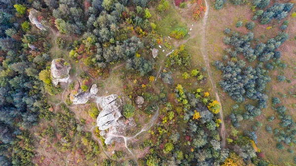 Forest and rocks in autumn aerial drone top view — Stock Photo, Image