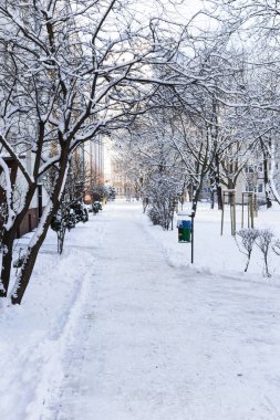 Kışın Polonya 'da tipik bir apartman bloğunda, karda yürümek