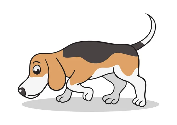 Cão Beagle desenhos animados — Vetor de Stock