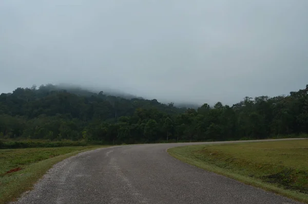 Brume et montagne en Chaiyaphum, Thaïlande — Photo