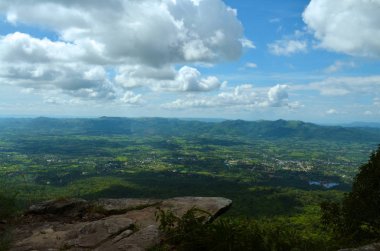 dağ ağaçları ile manzara