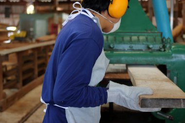 Alt ağaç makine rende ile çalışıyor. Fabrikada güvenlik ekipmanları giyiyor. Arkadan görünüş