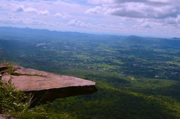 Tropikal Hindistan cevizi ağacı kapatın