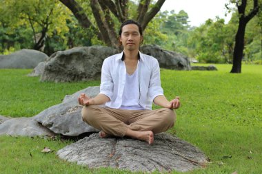 Parkta kayada lotus pozisyonda otururken yoga meditasyon yapan genç yogi erkek.