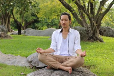 Parkta kayada lotus pozisyonda otururken yoga meditasyon yapan genç yogi erkek.