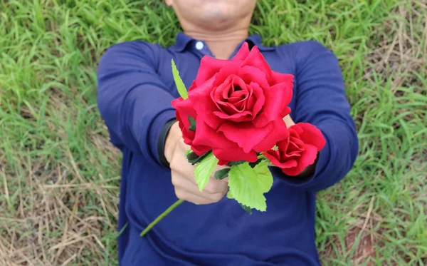 Cerca de un hermoso de rosas rojas artificiales son dadas por el joven hombre relajado acostado sobre hierba verde. Amor y romance Concepto de San Valentín . — Foto de Stock