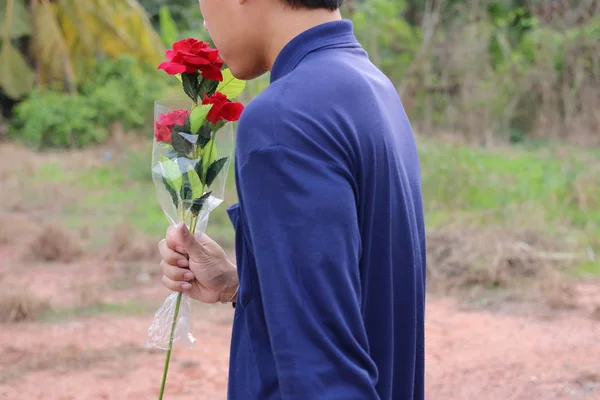 Bakifrån av ung stilig man håller en vacker bukett av konstgjorda röda rosor på natur suddig bakgrund. Kärlek och romantik koncept. — Stockfoto