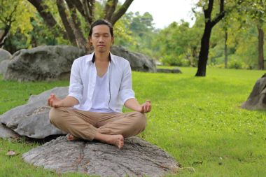 Parkta kayada lotus pozisyonda otururken yoga meditasyon yapan genç yogi erkek.