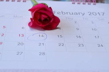Sevgililer günü işareti ile takvim sayfası 14 Şubat bir güzel kırmızı gül arka plan.
