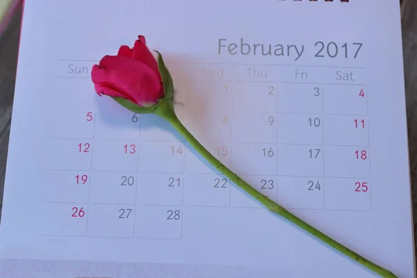 Close up calender with the date of 2017 February 14 Valentine's day and beautiful red roses on wooden board background, Selective focus — Stock Photo, Image