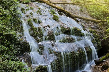Şelale yağmur ormanlarında, Kew Mae Pan, Doi Inthanon Milli Parkı, Chiangmai, Tayland.