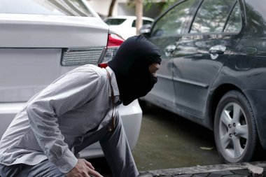 Siyah yün arabaya girmeye çalışan hırsız
