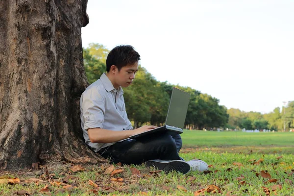 Pemuda tampan pohon berbohong dan menggunakan laptop di taman terbuka umum . — Stok Foto