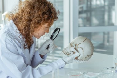 Genç bilim adamları laboratuvarda insan kafatasını inceliyor..