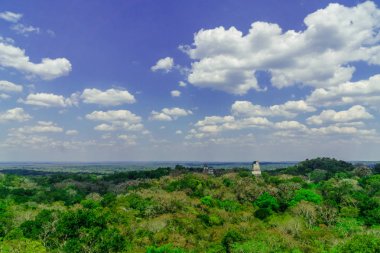 panoram Maya piramit içinde Tikal yağmur ormanı