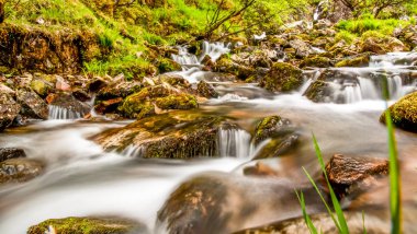 İskoçya'da rüya gibi şelale