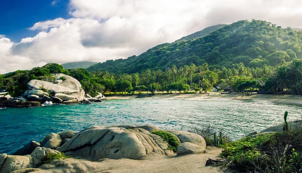 Selva en parque nacional tayrona — Foto de Stock