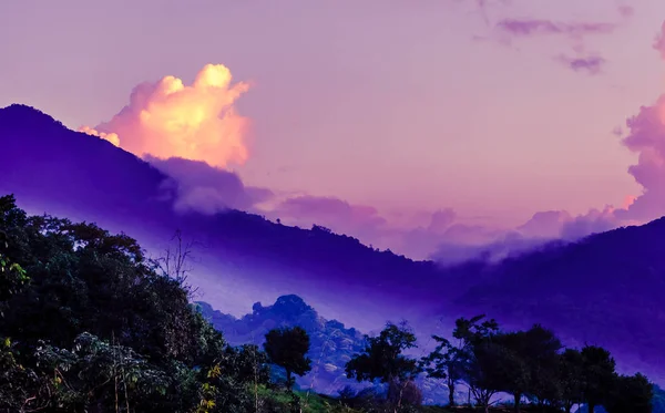 Lila reggel köd Mica Kolumbiában a hegyek — Stock Fotó