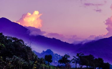 Purple morning fog in the mountains by Mica in Colombia  clipart