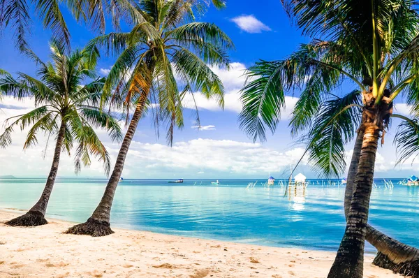Turquoise palm beach by Phu quoc island in Vietnam — Stock Photo, Image