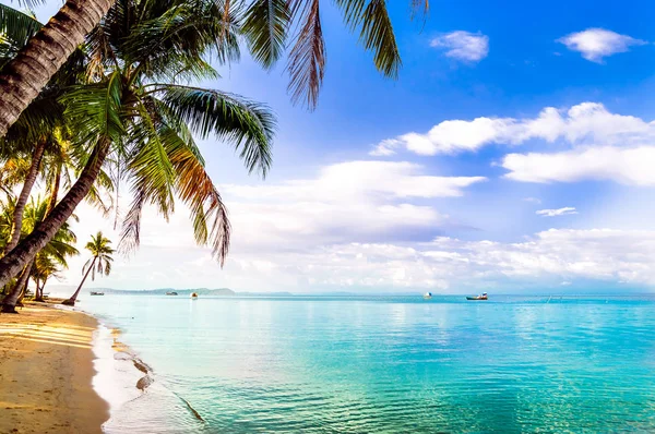 Turquoise palm beach by Phu quoc island in Vietnam — Stock Photo, Image