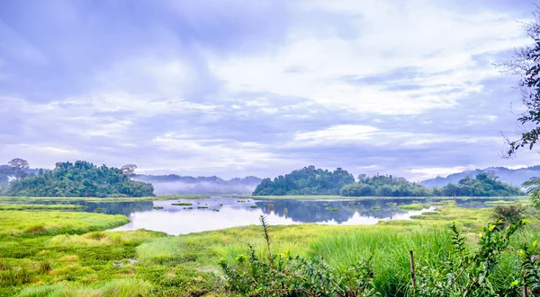 Lago de crocodilo no Parque Nacional Cat Tien no Vietnã — Fotografia de Stock