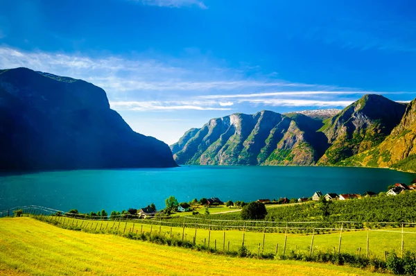 Naeroyfjord Aurlandsfjord Norveç Fiyordu peyzaj görüntüleyin — Stok fotoğraf