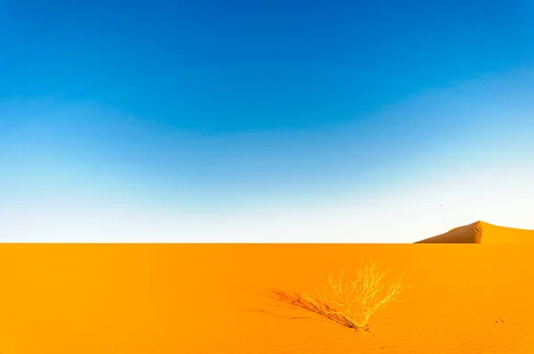Dunas na sobremesa de Marrocos por Mhamid — Fotografia de Stock