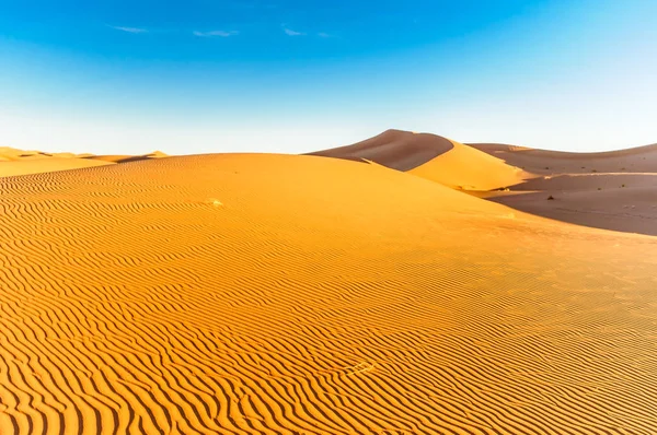 Dune nel dessert del Marocco di Mhamid — Foto Stock