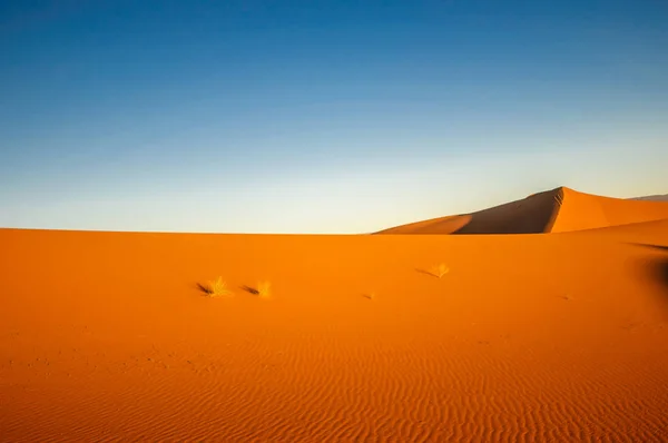 Sanddyner i efterrätten i Marocko av Mhamid — Stockfoto