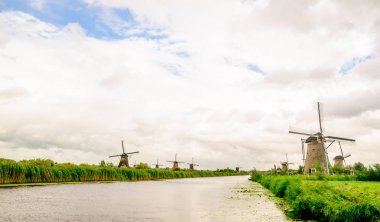 Doğal yel değirmenleri Hollanda polder manzara