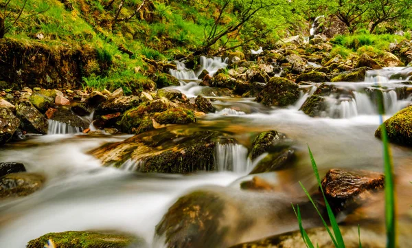 İskoçya'da akan nehir manzara